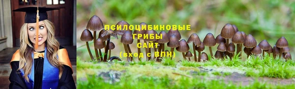 герыч Балахна